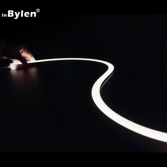 IP67 Outdoor Decoration DC24V Flex Neon Strip Light