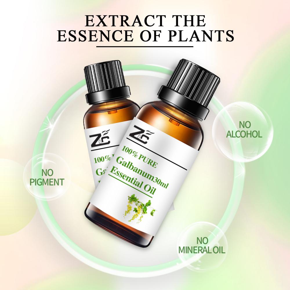 Galbanum essential oil with low price Galbanum oil