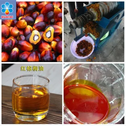 Fresh Palm Fruit Extraction and Crude Palm Oil Refining Production Line