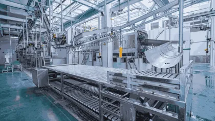 Pig Slaughtering and Processing Equipment for Abattoirs