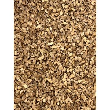 Grânulos de gengibre a granel
