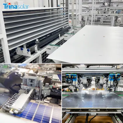 Europe Stock Trina Solar TSM-550DE19 PV Module