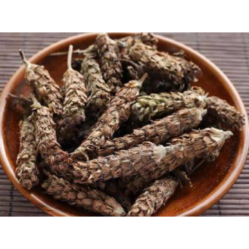 Spica Prunellae Extract Powder
