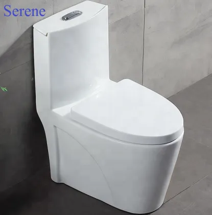 Ceramic Squat Toilet with Multifunction Features and Porcelain Flush Tank