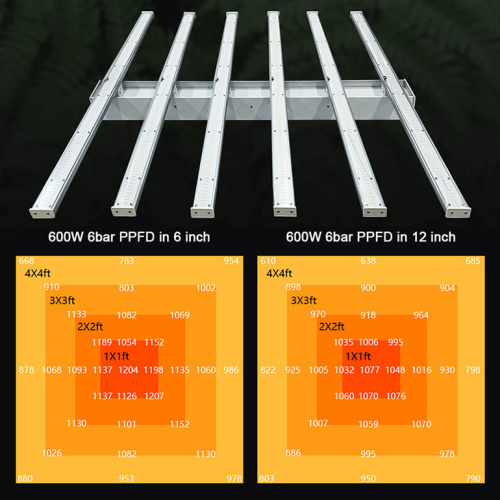 600W Full Spectrum Led Grow Light 4X4 6X6