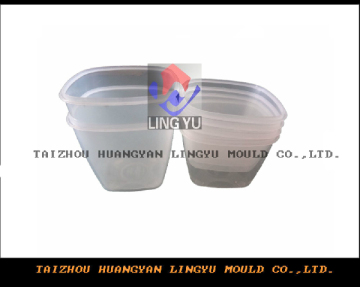 Plastic Thin Wall Mould (LY-3024)