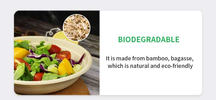  biodegradable serving bowls