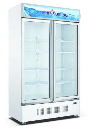 -18C ~ -23C ice cream freezer vertical display refrigerator freezer