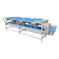 Sweet Potato Chips Production Line Solution