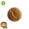 Salud masculina Agua natural Soluble Kava Kava Extracto