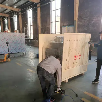 Petit fermenteur d'ail noir