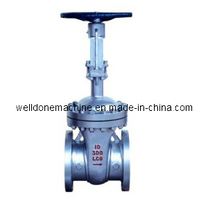 Class 150-600 Cryogenic Gate Valve