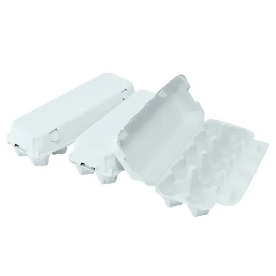 Biodegradable Chicken Egg Cartons for Refrigerator