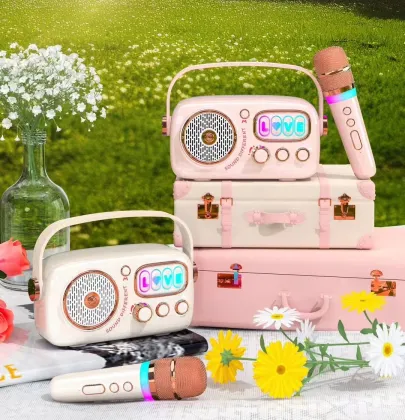 BT5.1 Wireless Home Audio Set with KTV Speaker for Living Room