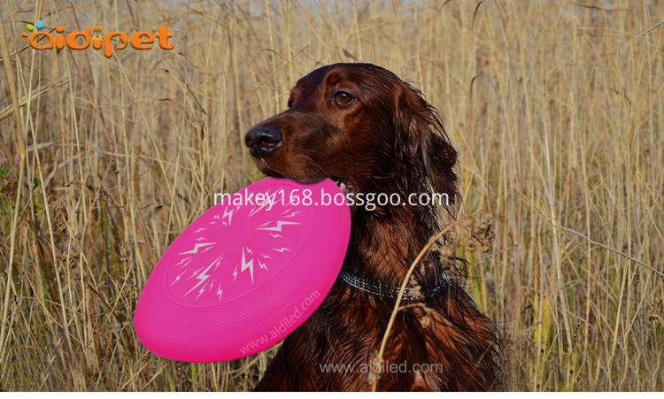 Outdoor Dog Toys