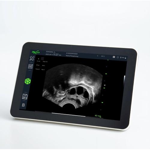 R11 6.5MHz convex array probe veterinary ultrasound equipment