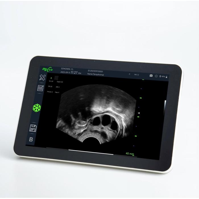 R11 6.5MHz convex array probe veterinary ultrasound equipment