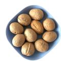 Wholesale Cheap Walnuts Paper Shell Walnuts Washed Walnuts