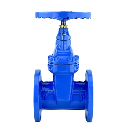 International Standard Ductile Iron Concealed Stem Soft Seal Gate Valve Inventory