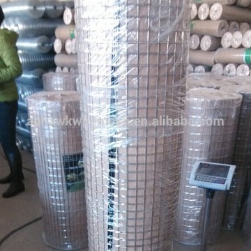 bird cage wire mesh welded wire mesh