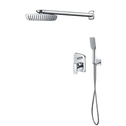 Shower With Hand Shower
