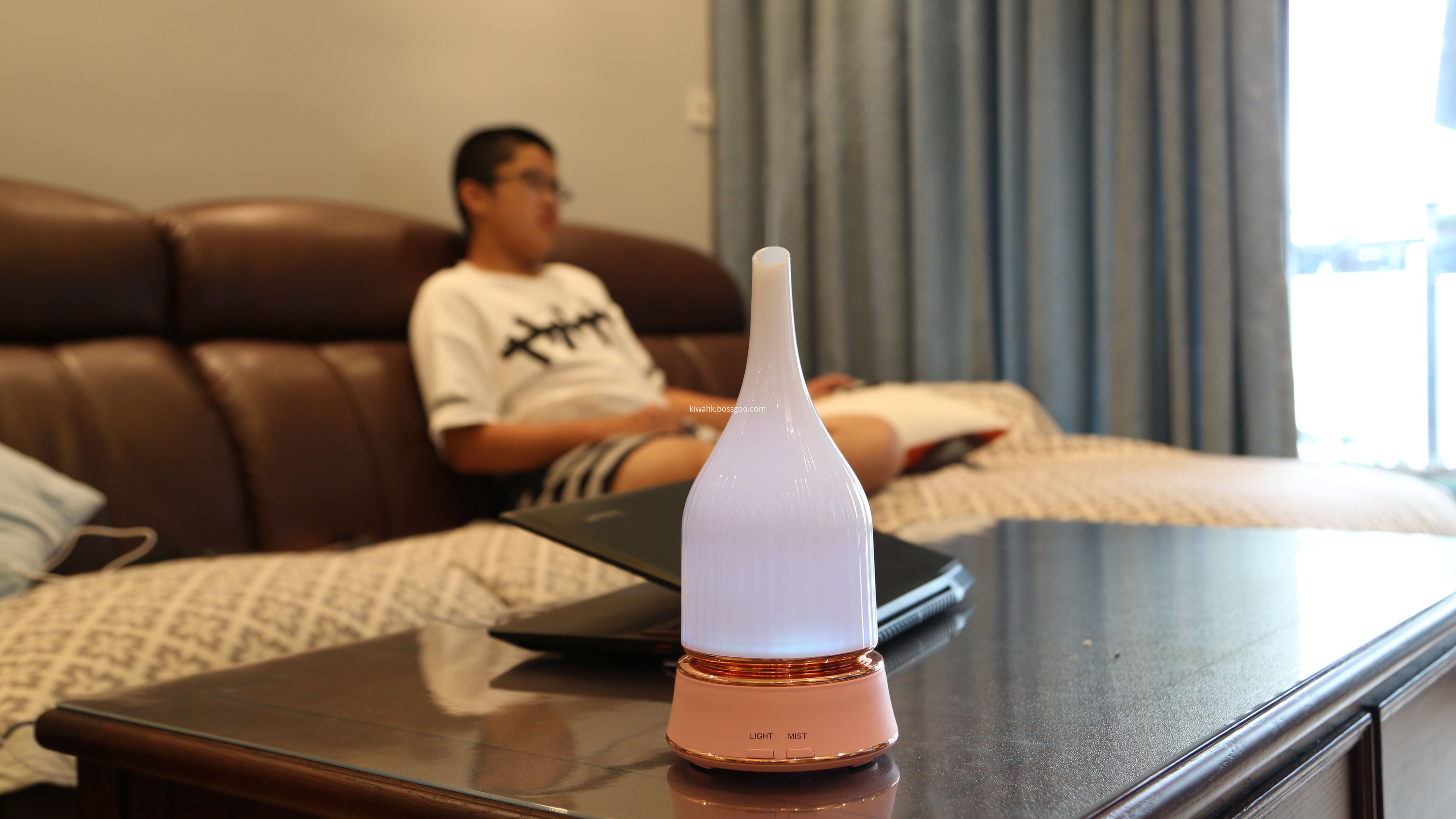 Electronic Cold Air Aroma Essential Oil Diffuser