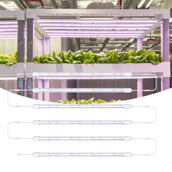 IP65 LED T8 Integrated Grow Lights for Greenhouse Hydroponic Horticulture