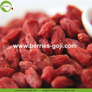 Perder peso Natural Fuits Bulk Common Goji Berry