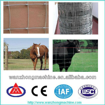 cattle fence/sheep fence/horse fence(factory!!)