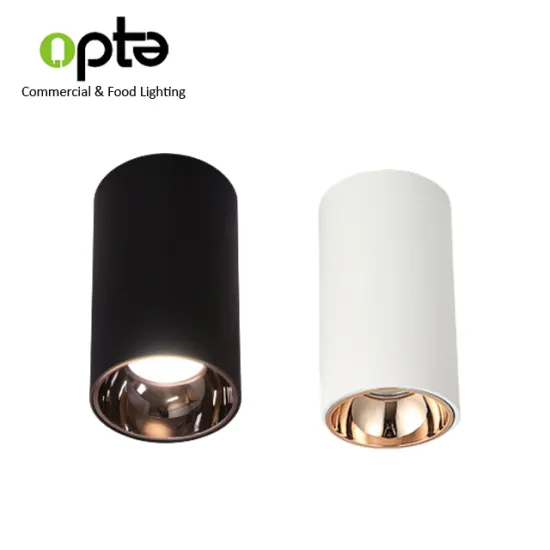 60W Surface Mounted Downlight Hanging Can Light