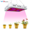 /msite/products/detail/productid/57823535/id/679434.html
