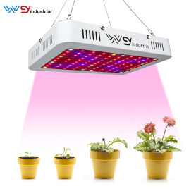 WENYI 1000W Double Chips LED Plant Grow Light