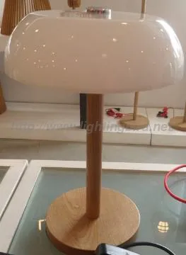 Adjustable light source Touch Lamps