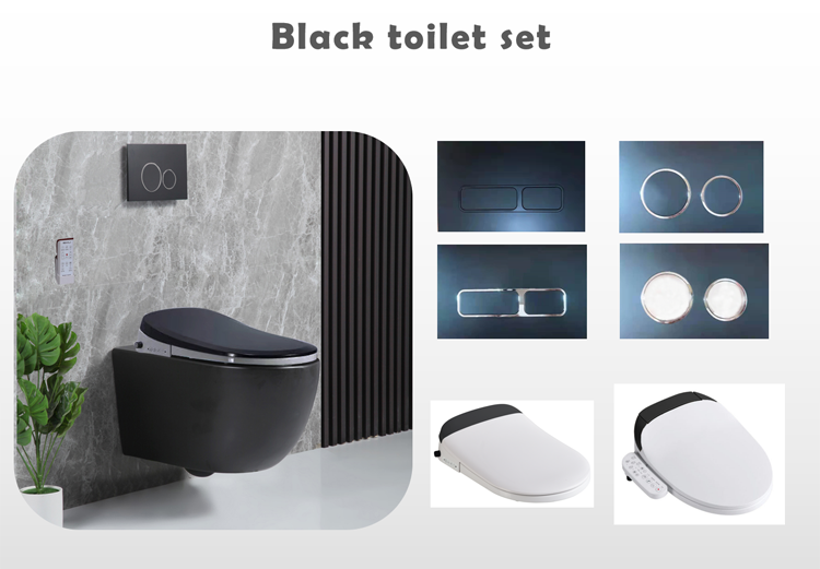 Black Intelligent Toilet Seat