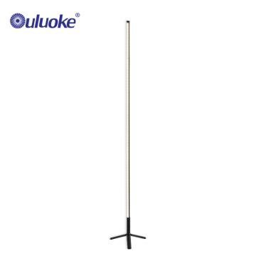 Modern Indoor LED Floor Lamp for Living Room and Dining Area