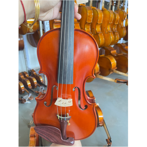 Υψηλής ποιότητας Eup Professional 4/4 Old Violin