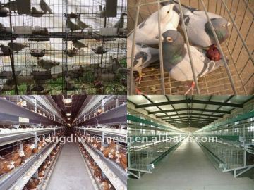 Pigeon Cages / Chicken Cages / Poultry cages