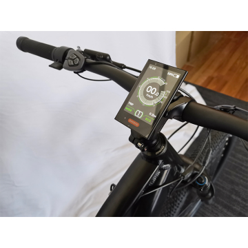 Aluminum Alloy Electric Bike with External Battery and LED Charger
