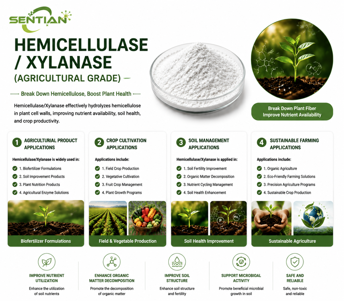 Hemicellulase2