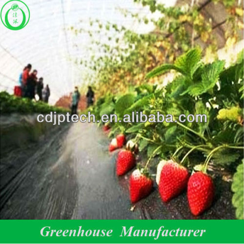 Hot Sale White Color Insect Net Greenhouse