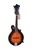 Musoo Brand Acoustic Mandolin Guitar (MM-F10)