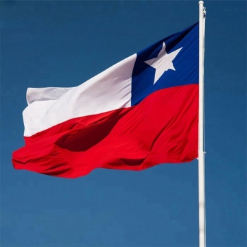 Chuangdong Flying Cheap Promotional Chilean Flag