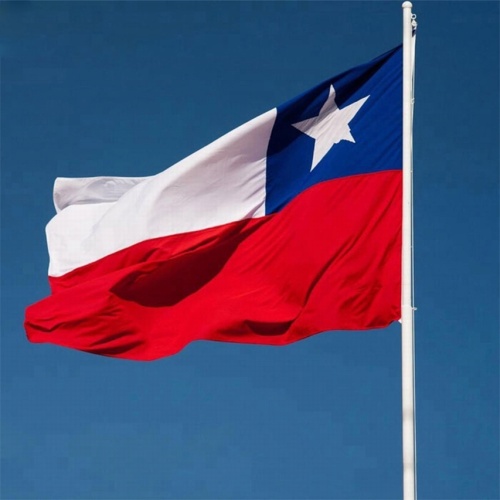 Chuangdong Flying Cheap Promotional Chilean Flag