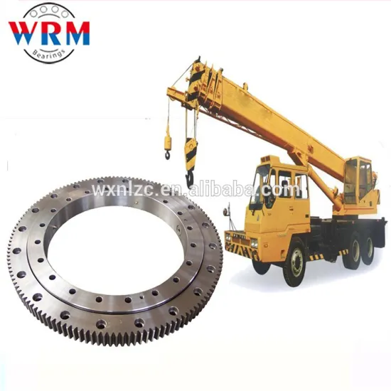 china exporter slewing bearing for tadano crane spare parts