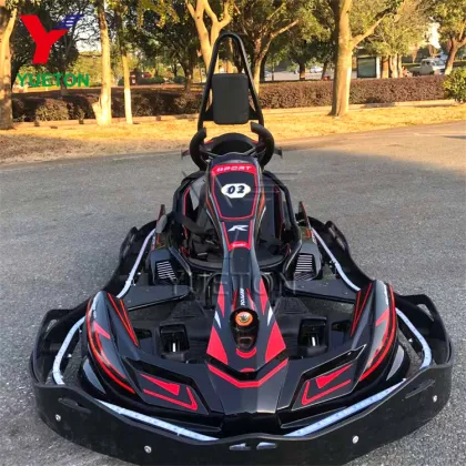 Hot Sale Go Kart Pro High Speed Kids Racing Go Karting Adult Racing Go Kart For Sale Max Speed 60Km/H