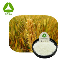 Antioxydants de poudre de peptide de protéine de blé faible poly poly