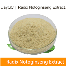 Radix notoginseng extrato notoginseng triterpenos 5%~ 80%