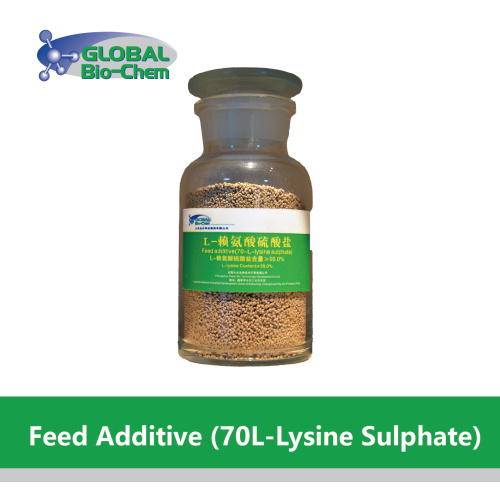 Quudinta wax lagu daro (70l-lesine sulphate) budada amino acid