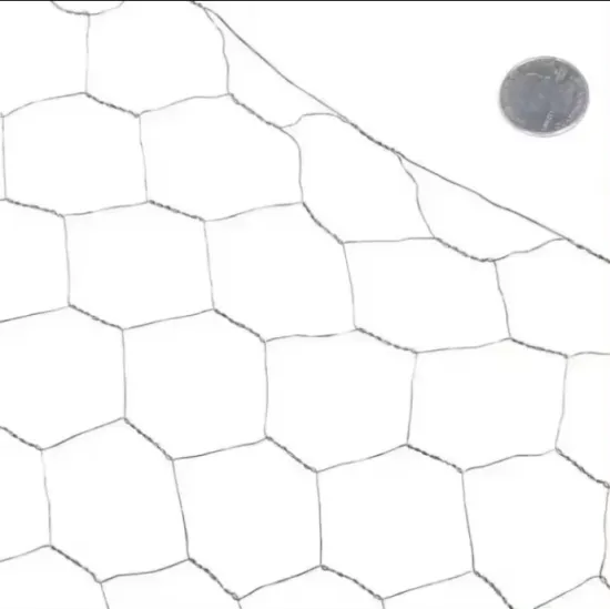 Galvanized Chicken Wire Netting Hexagonal Wire Mesh