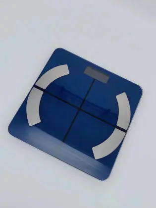 Electronic Health Household Body Fat Scale